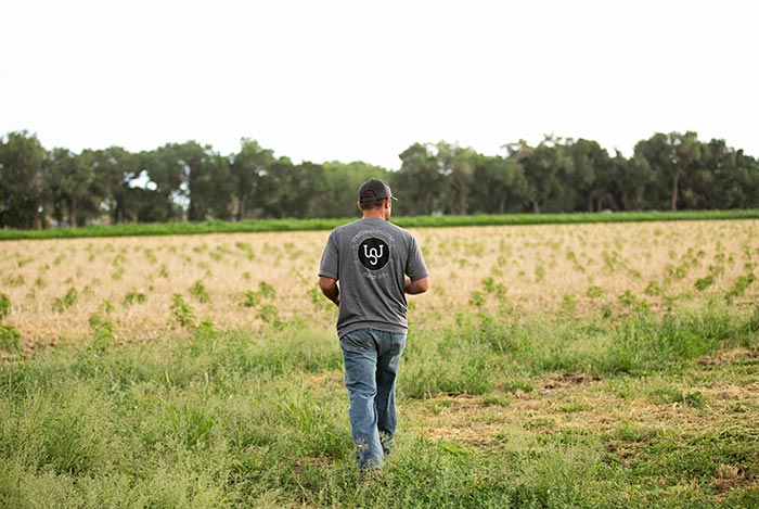 western states hemp farmer walking through hemp grow